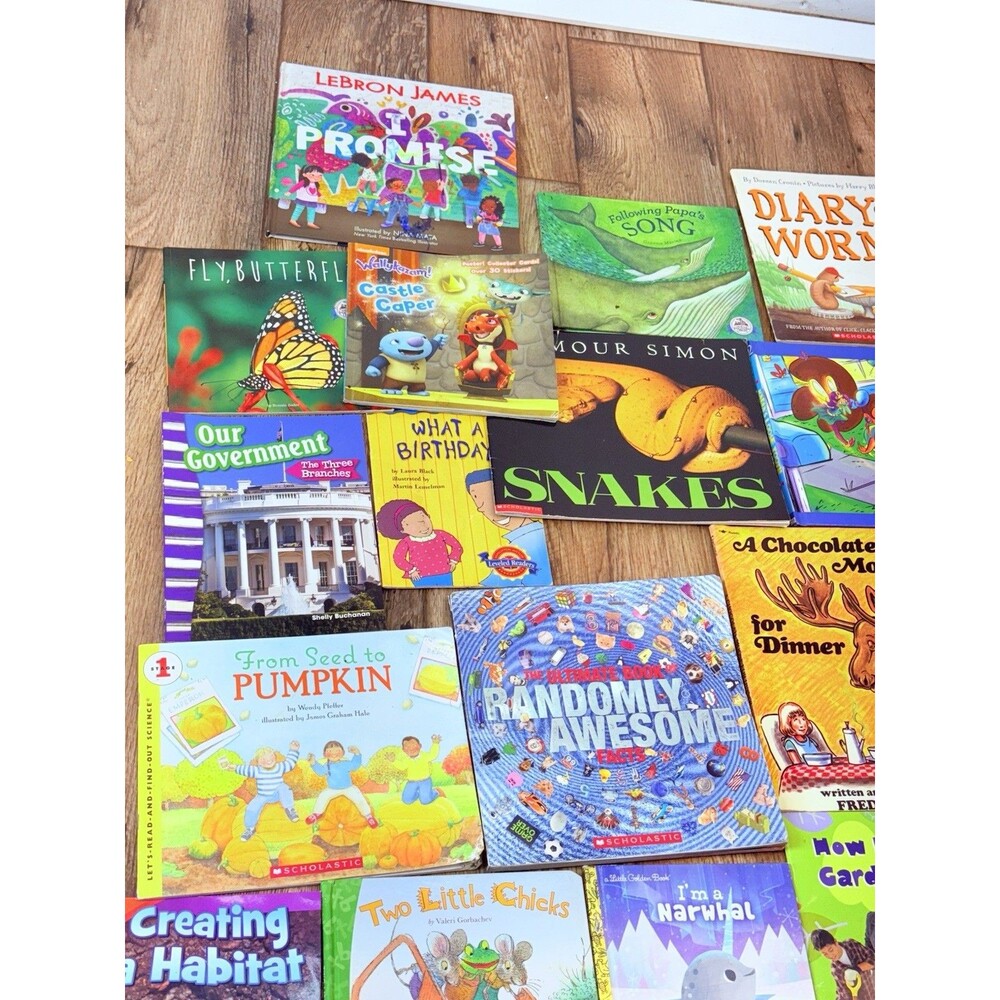 BUNDLE 24 Story Time Books for Kids Picture Daycare Childre MIX Assorted Bundle